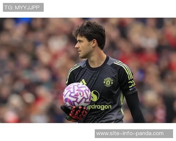 曼联祝贺舒梅切尔62岁生日回顾其398场比赛与15个冠军成就