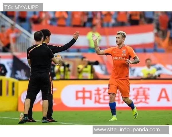 山东旧将塔尔德利：借金元时代契机实现人生逆袭与职业新篇章